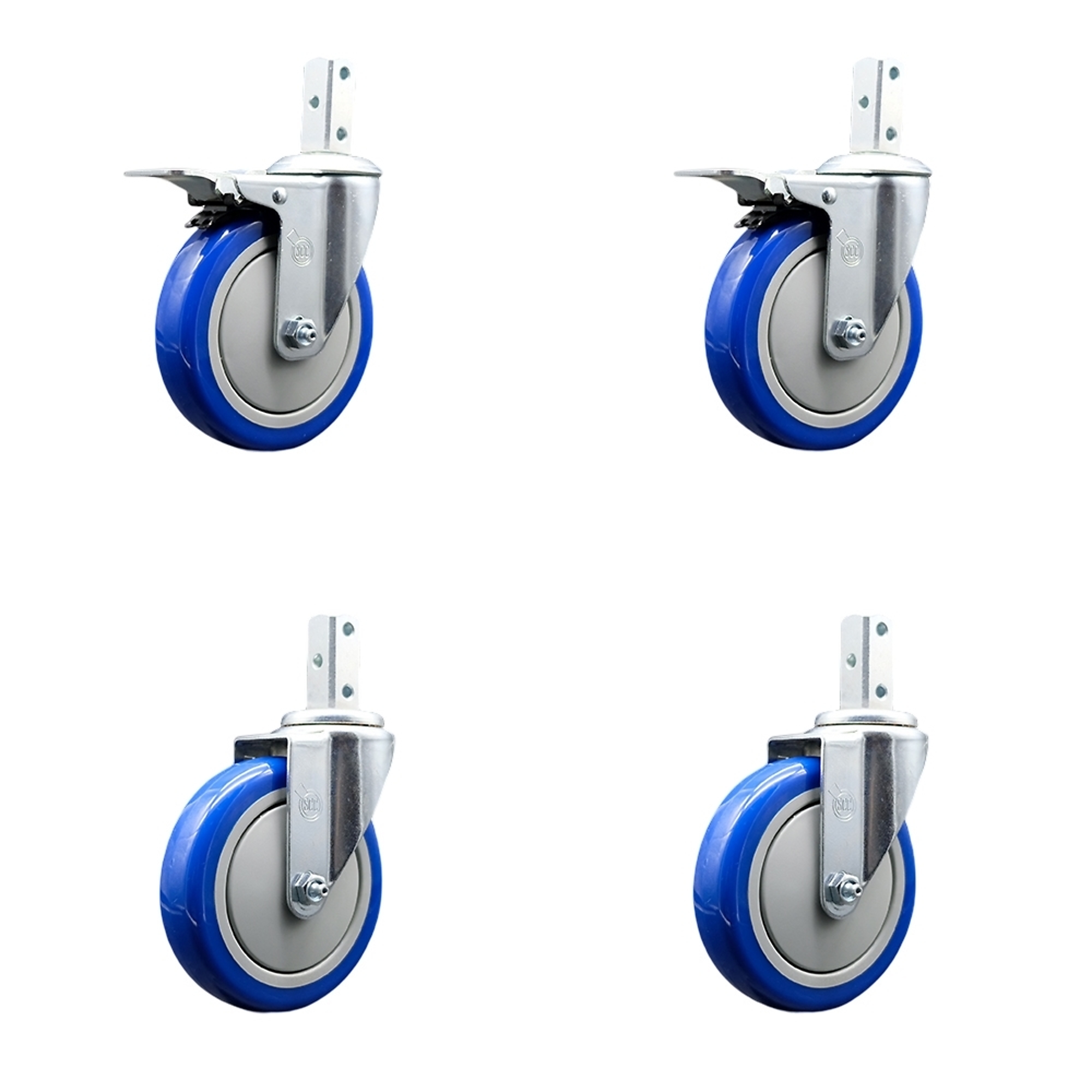 Service Caster, 5Inch x 1 1/4Inch Stem Casters, Wheel Diameter 5 in, Caster Type Swivel, Package (qty.) 4, Model SCC-SQTTL20S514-PPUB-BLUE-34-2-S-2