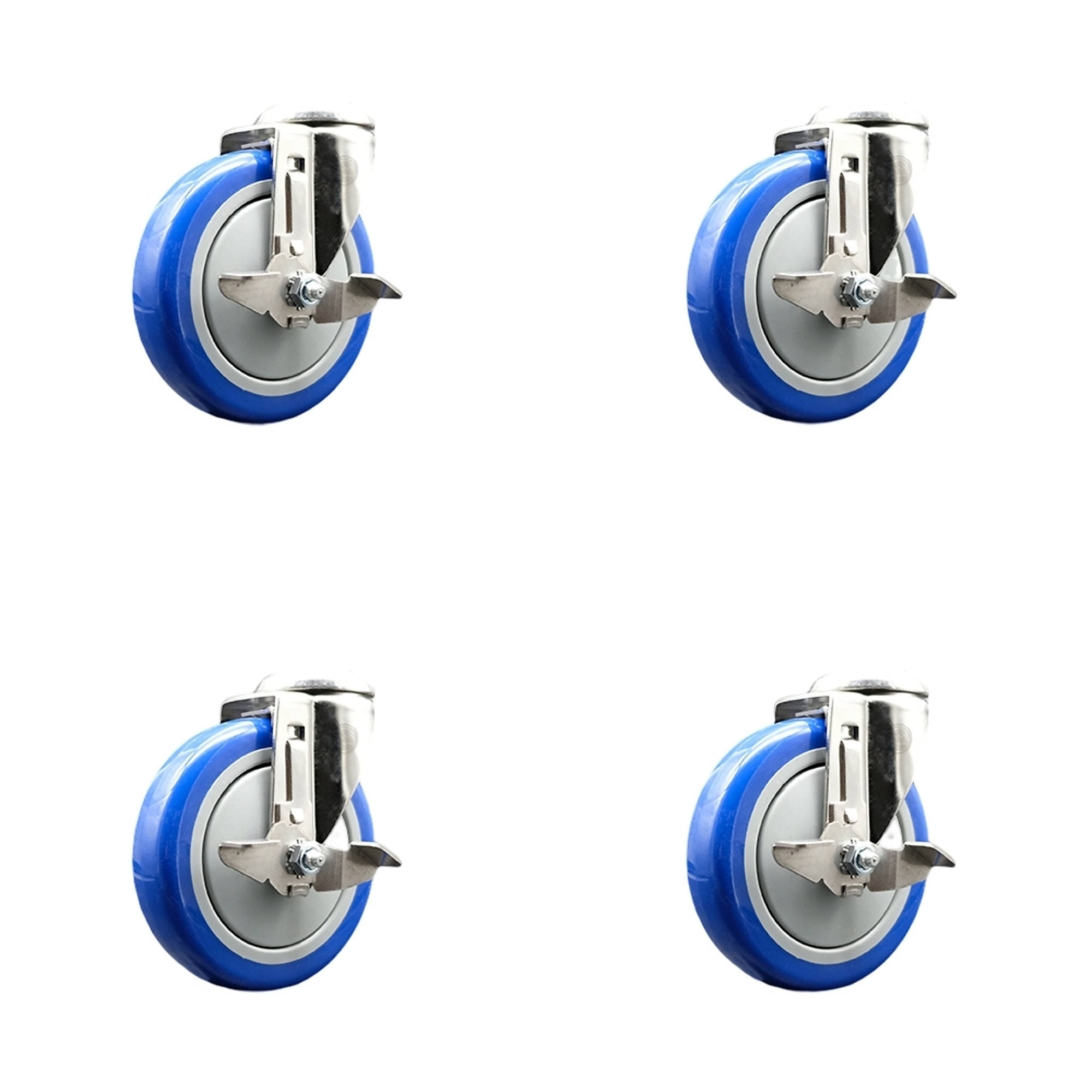 Service Caster, 5Inch x 1 1/4Inch Stem Casters, Wheel Diameter 5 in, Caster Type Swivel, Package (qty.) 4, Model SCC-SS316BH20S514-PPUB-BLUE-TLB-4