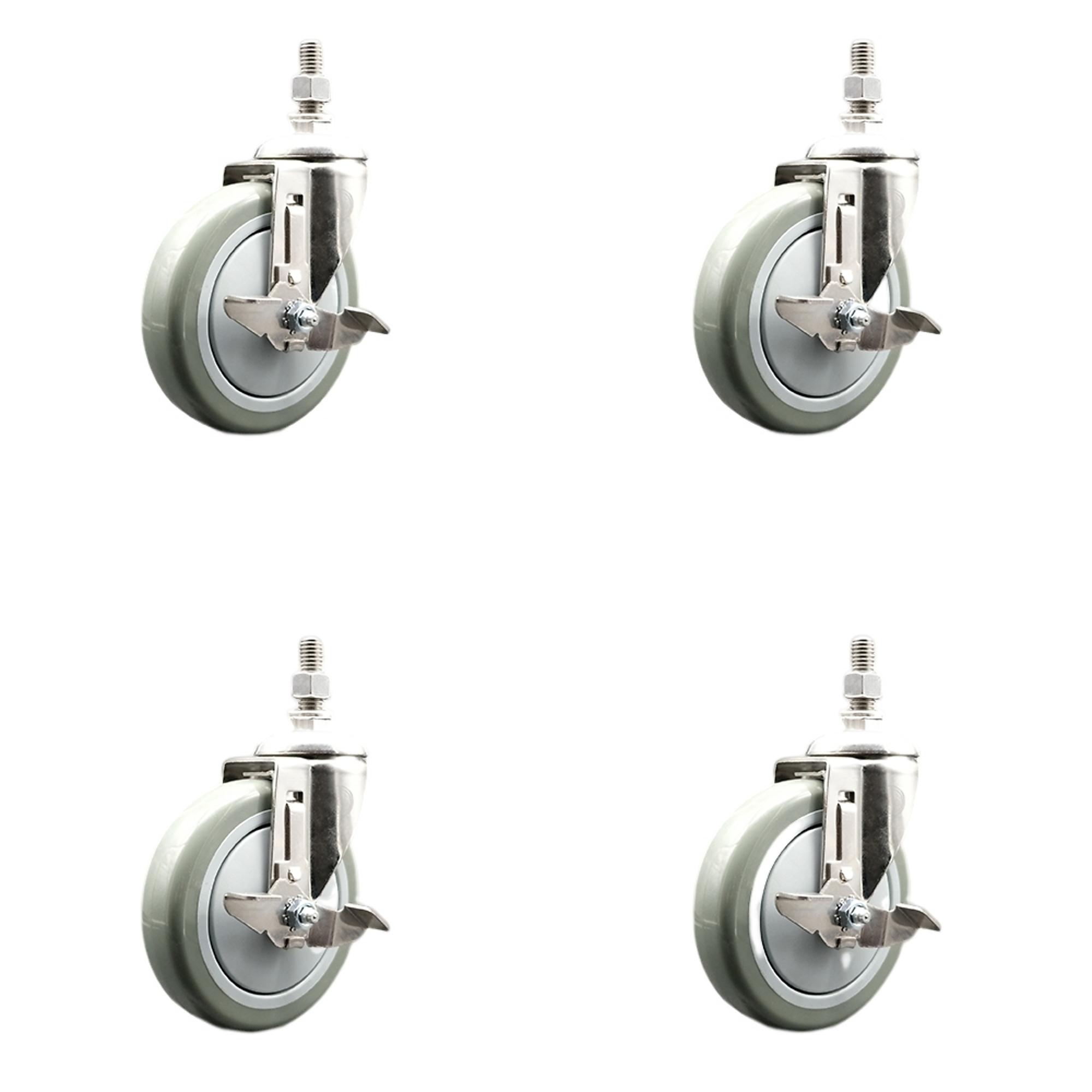 Service Caster, 5Inch x 1 1/4Inch Stem Casters, Wheel Diameter 5 in, Caster Type Swivel, Package (qty.) 4, Model SCC-SS316TS20S514-PPUB-TLB-121315-4