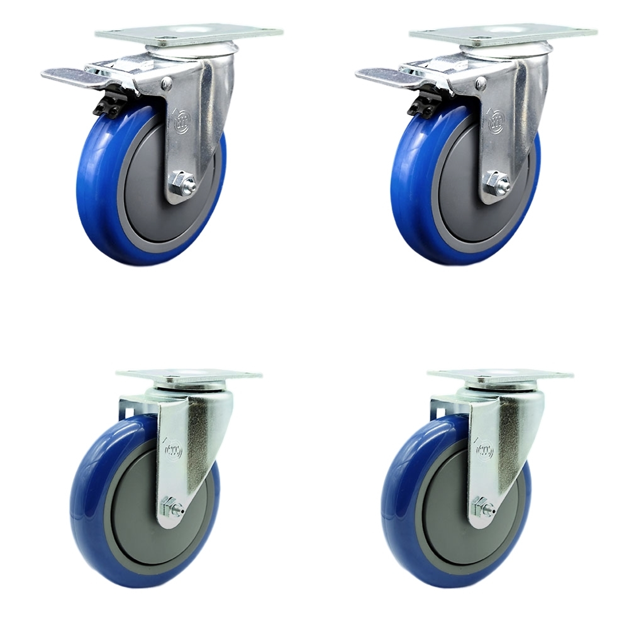 Service Caster, 5Inch x 1 1/4Inch Stem Casters, Wheel Diameter 5 in, Caster Type Swivel, Package (qty.) 4, Model SCC-SSTTL20S514-PPUB-BLUE-2-S-2