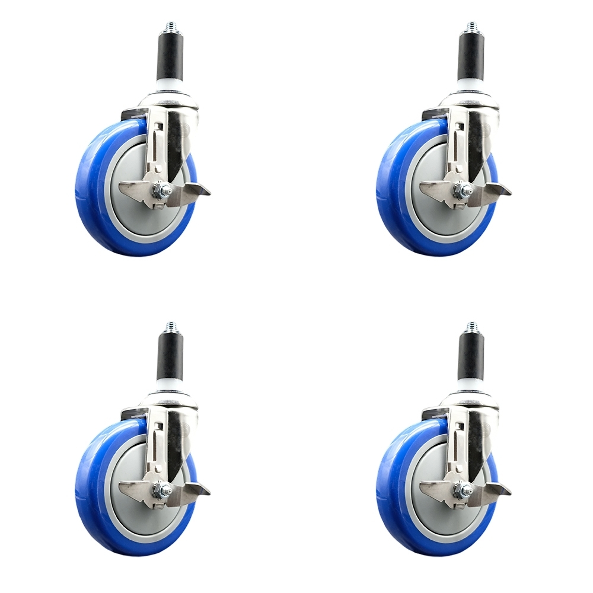 Service Caster, 5Inch x 1 1/4Inch Stem Casters, Wheel Diameter 5 in, Caster Type Swivel, Package (qty.) 4, Model SCC-SS316EX20S514-PPUBBLUE-TLB-114-4