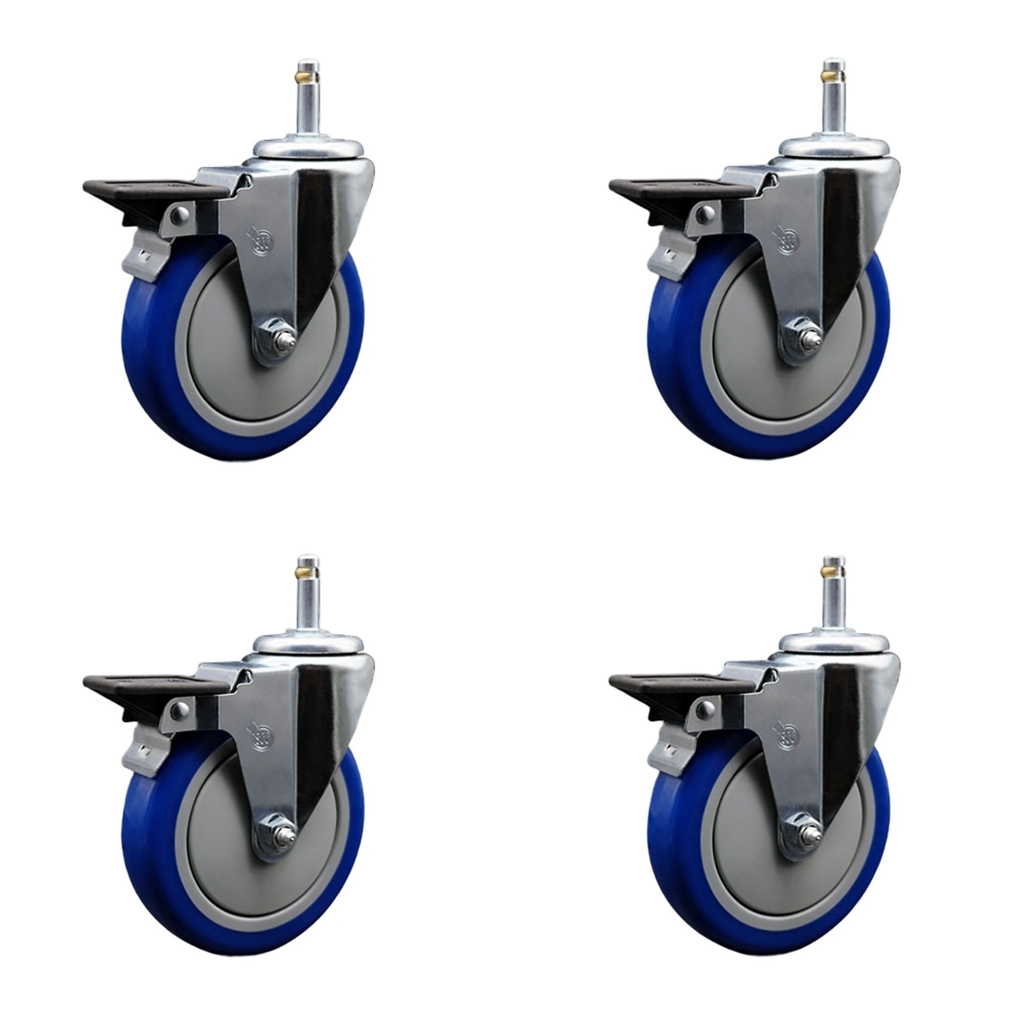 Service Caster, 5Inch x 1 1/4Inch Stem Casters, Wheel Diameter 5 in, Caster Type Swivel, Package (qty.) 4, Model SCC-GR20S514-PPUB-BLUE-PLB-716138-4