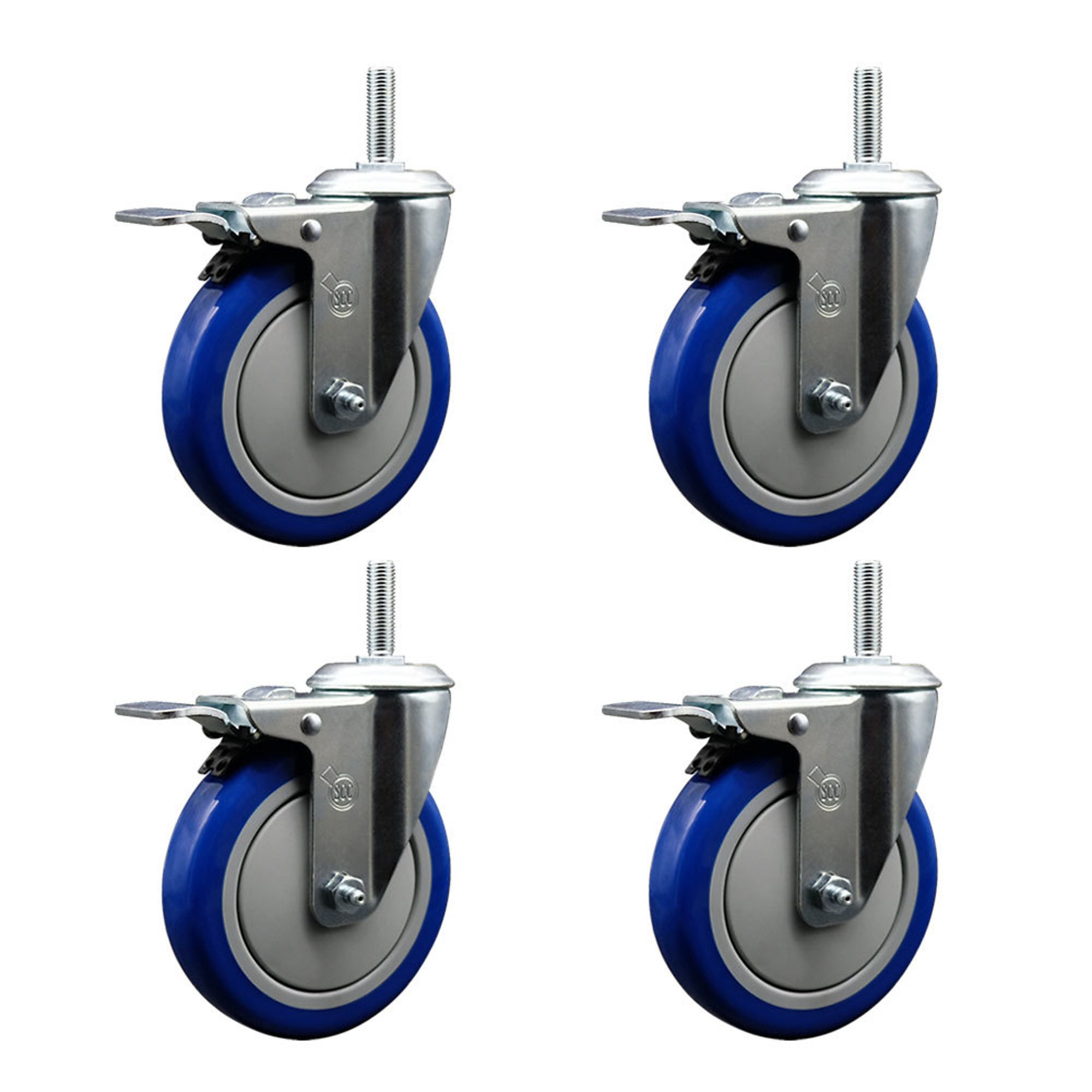 Service Caster, 5Inch x 1 1/4Inch Stem Casters, Wheel Diameter 5 in, Caster Type Swivel, Package (qty.) 4, Model SCC-TSTTL20S514-PPUB-BLUE-34212-4