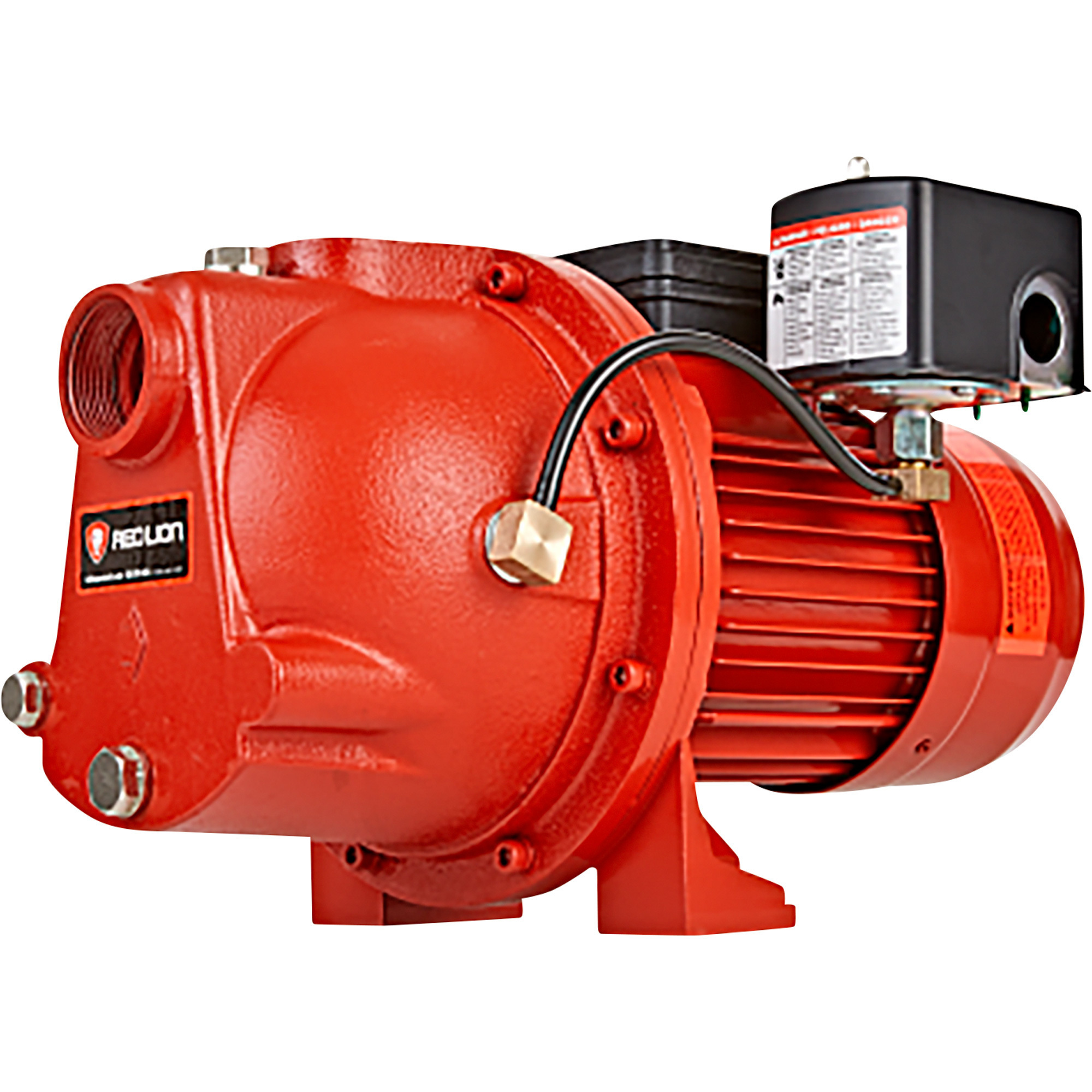 Red Lion Cast Iron Shallow Well Jet Water Pump â 1038 GPH, 1 HP, 1 1/4Inch Intake/1Inch Discharge Ports, Model RL-SWJ100